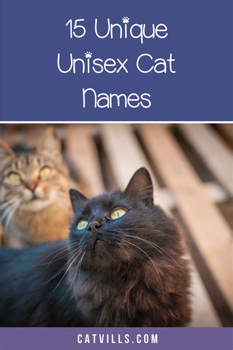 unisex cat names unique